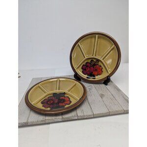 Vintage Zell am Harmersbach Lima Divided Plates Set of 2 West Germany 4777